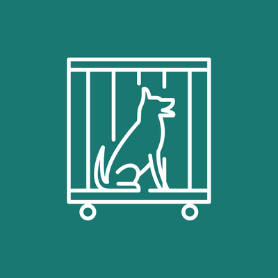 a dog in a vet clinic cage